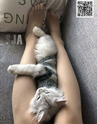 菠萝蜜视频免费观看_1080免费在线观看