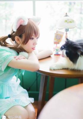 春花焰电视剧剧情介绍_HD720P欧美电影在线