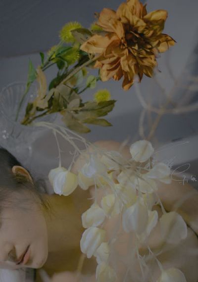 小姨母电影_BD英语全集免费播放